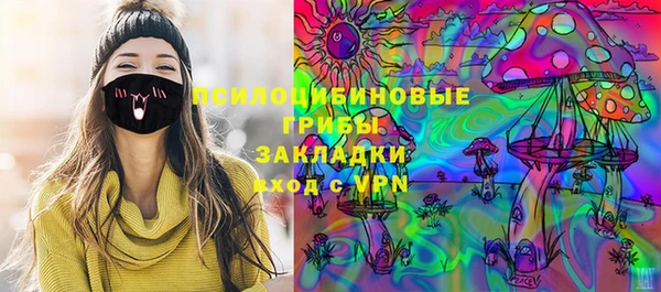 спайс Алексин