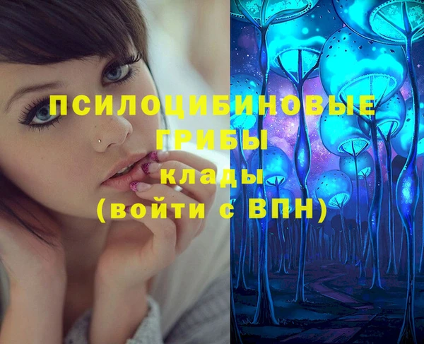 спайс Алексин