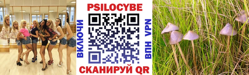 Псилоцибиновые грибы Cubensis  Георгиевск 